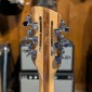 Rickenbacker 360/12 2009 - Mapleglo  - 1