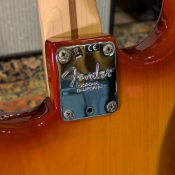 Fender American Professional Stratocaster with Maple Fretboard 2019 - Sienna Sunburst Fender - 1