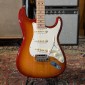 Fender American Professional Stratocaster with Maple Fretboard 2019 - Sienna Sunburst Fender - 7
