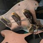 FENDER Stratocaster JOHN CRUZ CUSTOM SHOP Shell Pink 1996 SERIE CUNETTO Fender - 2