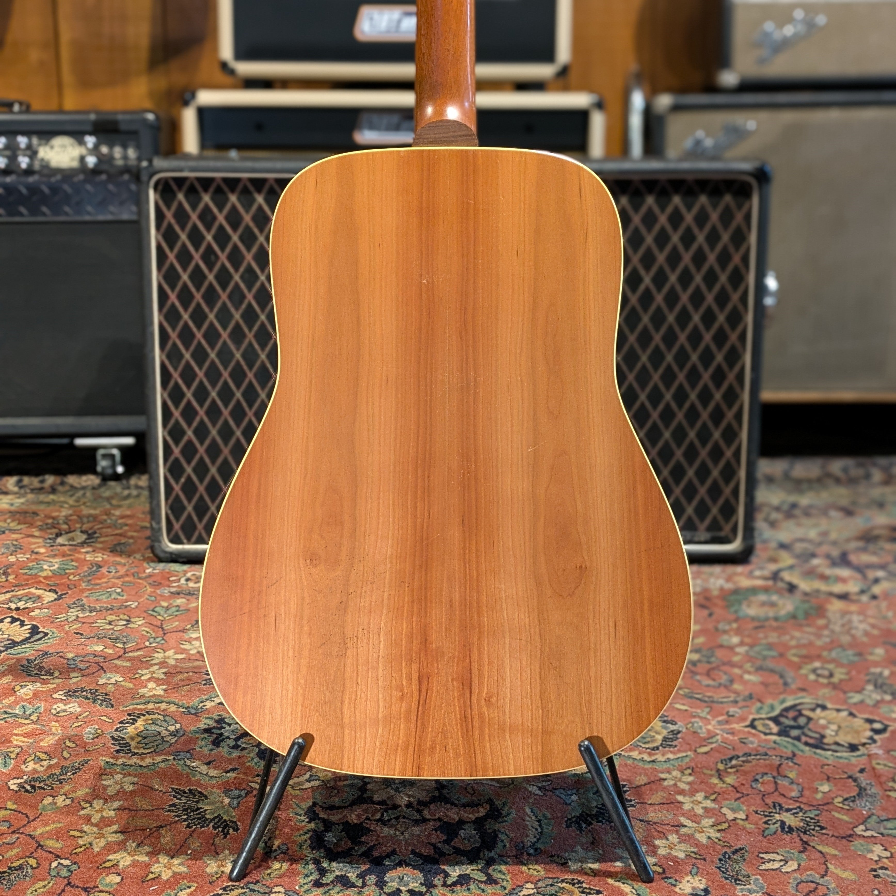 Norman B-20(6) - Natural