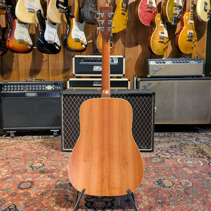 Norman B-20(6) - Natural