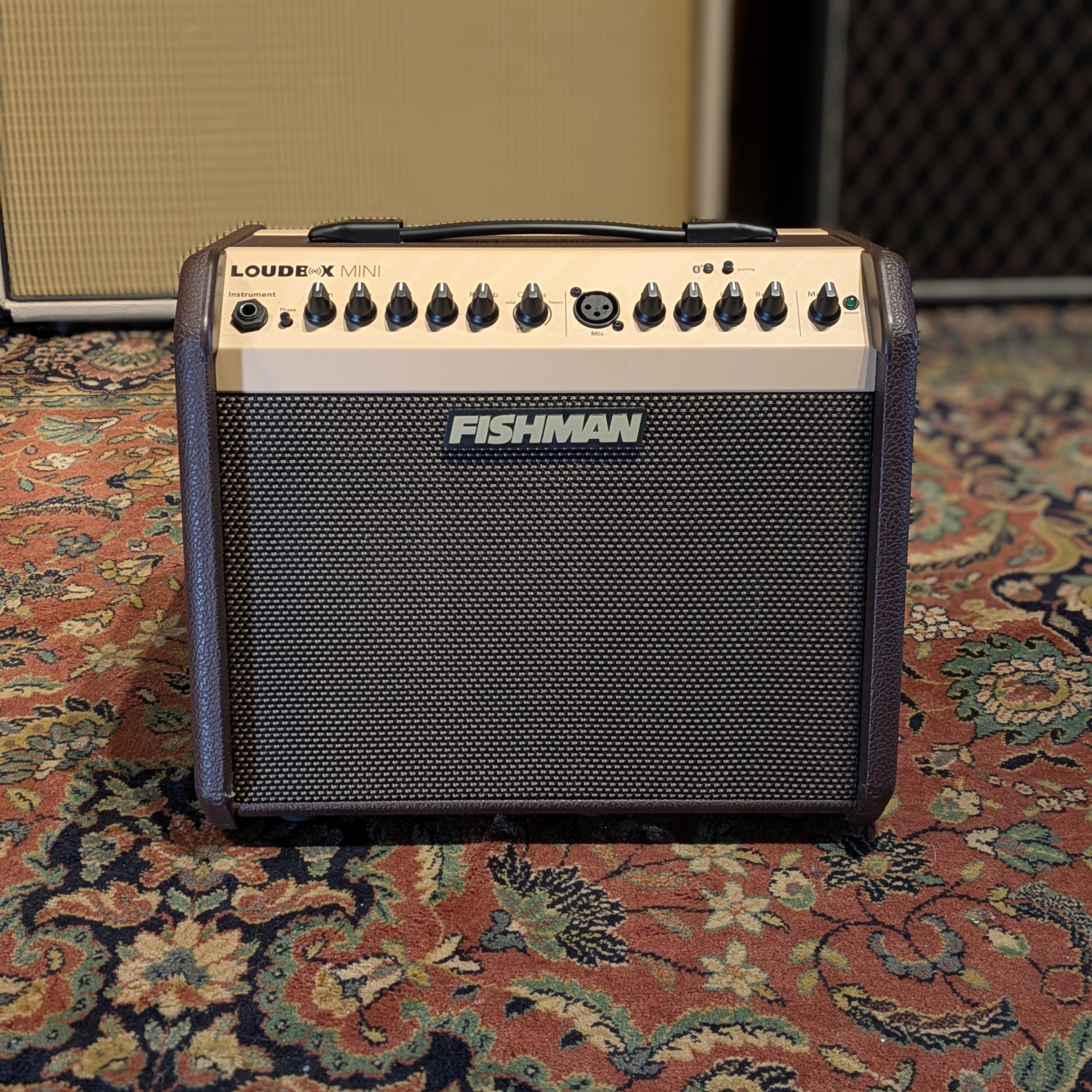 Fishman Loudbox Mini