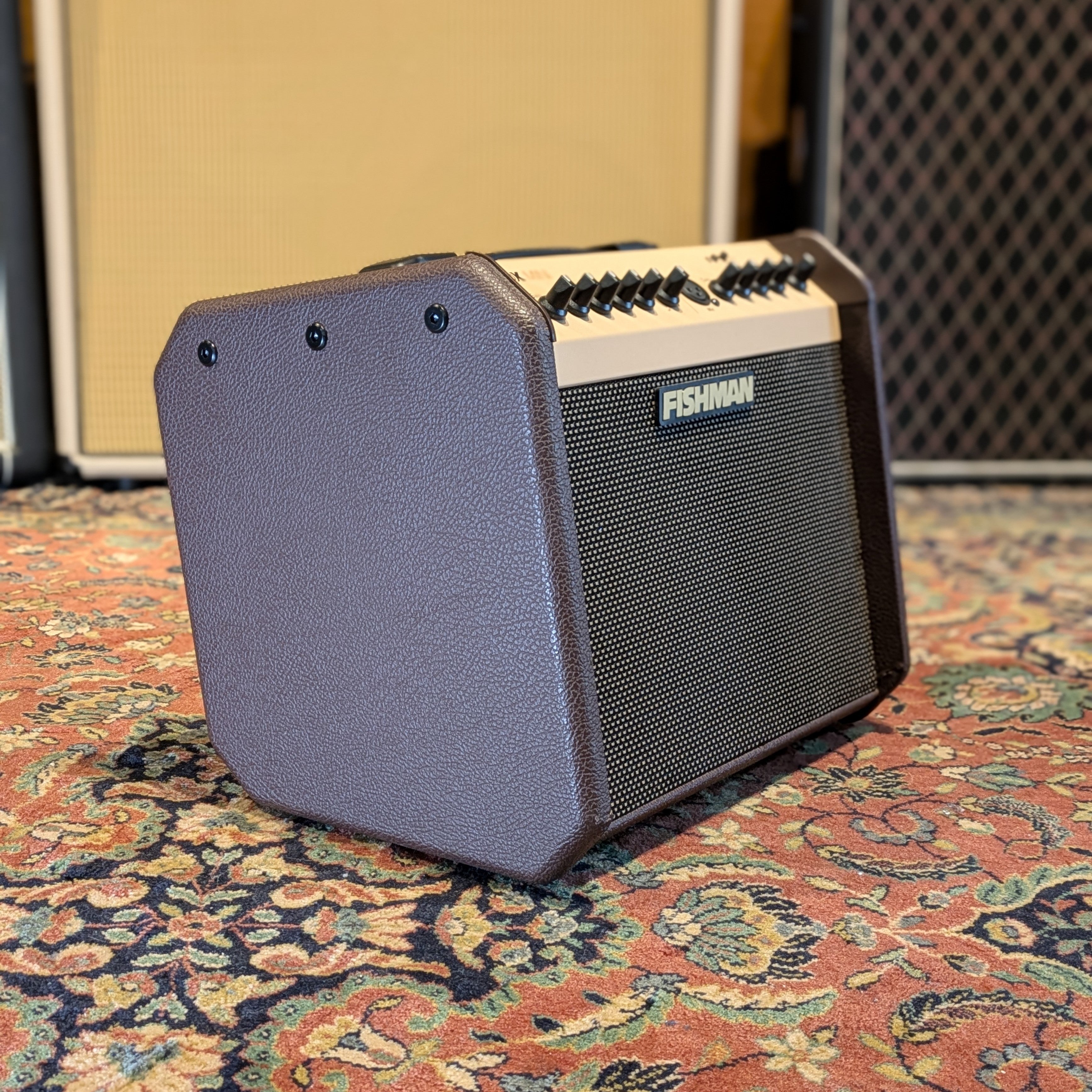 Fishman Loudbox Mini