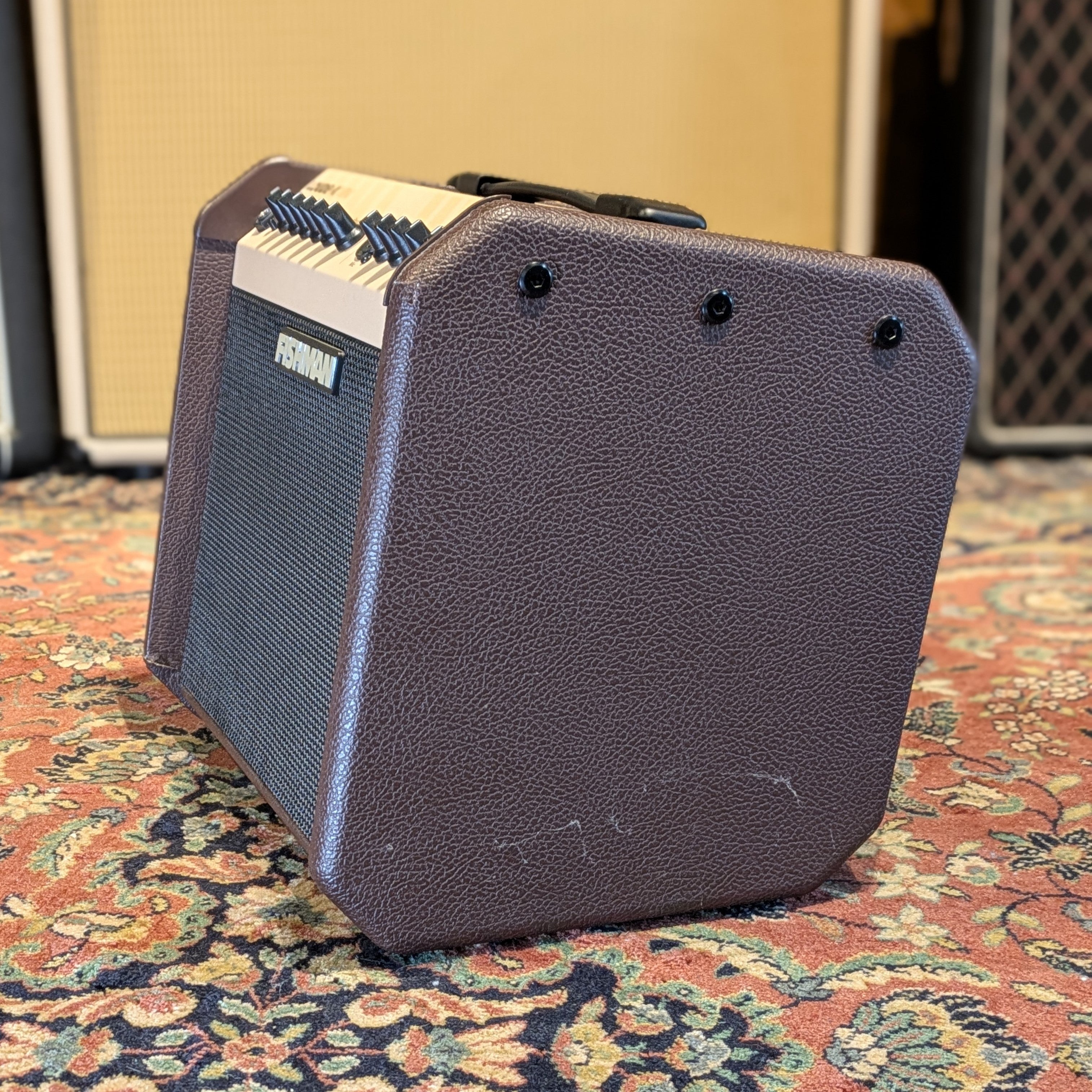Fishman Loudbox Mini