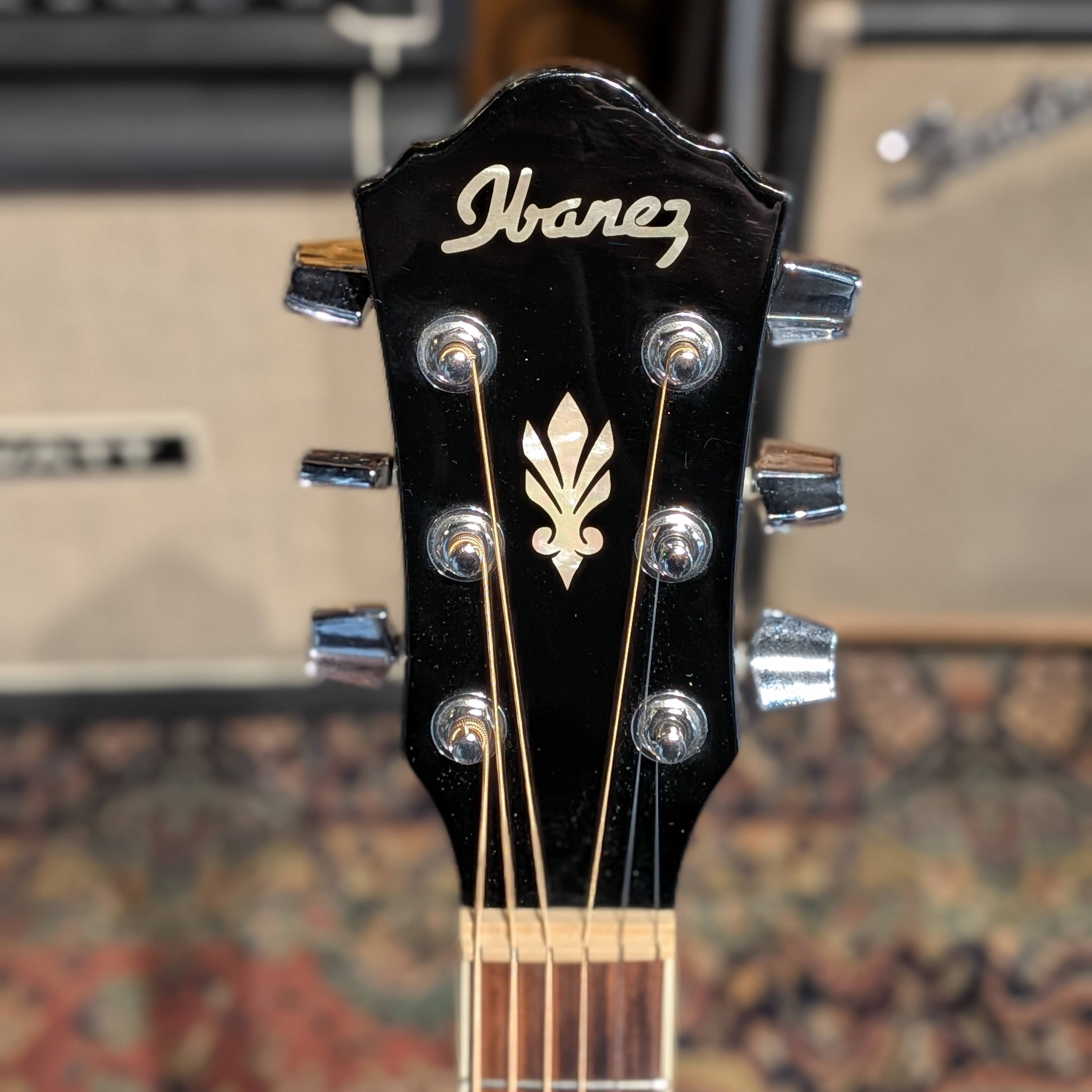 Ibanez AEG10E-BK-27-01 - Black