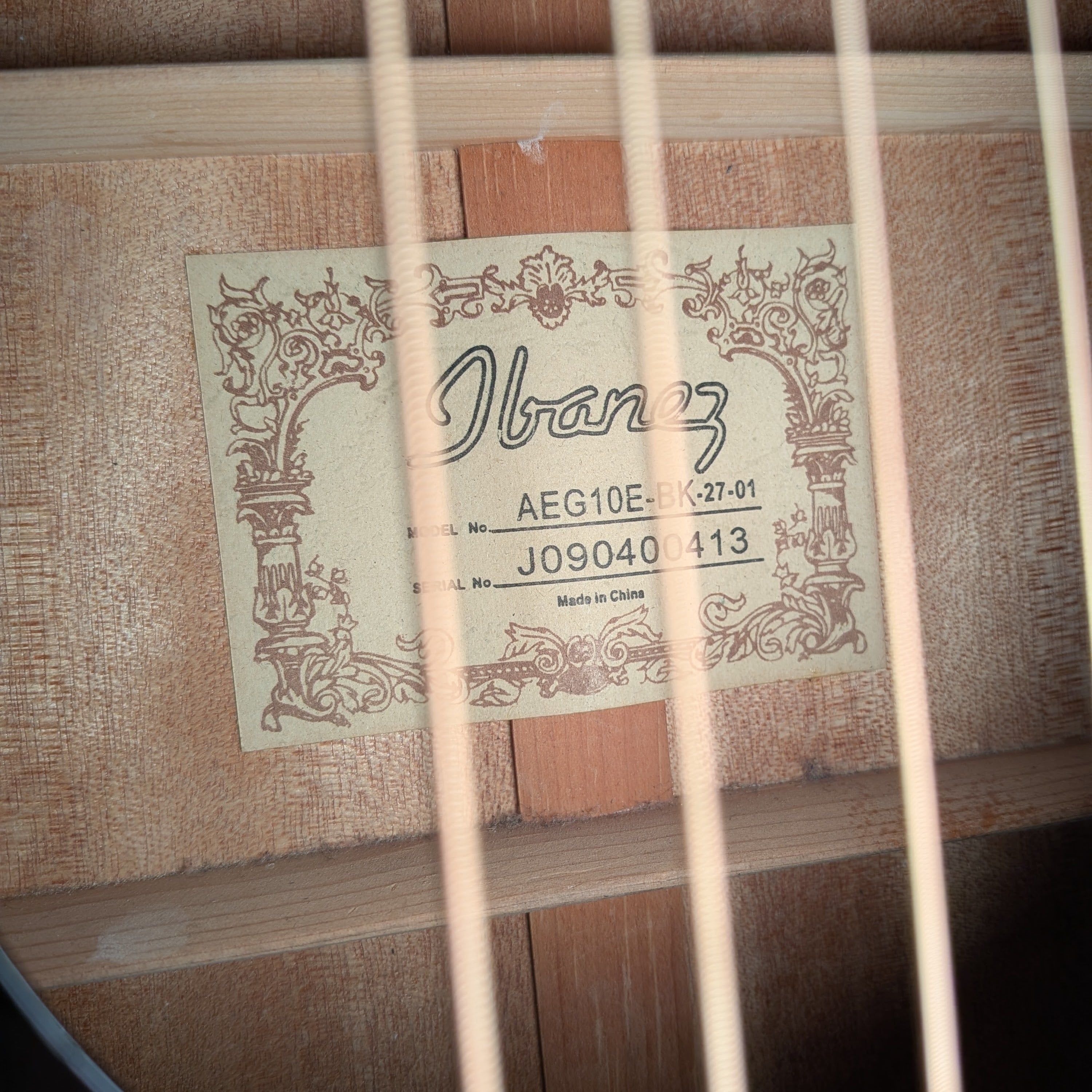 Ibanez AEG10E-BK-27-01 - Black