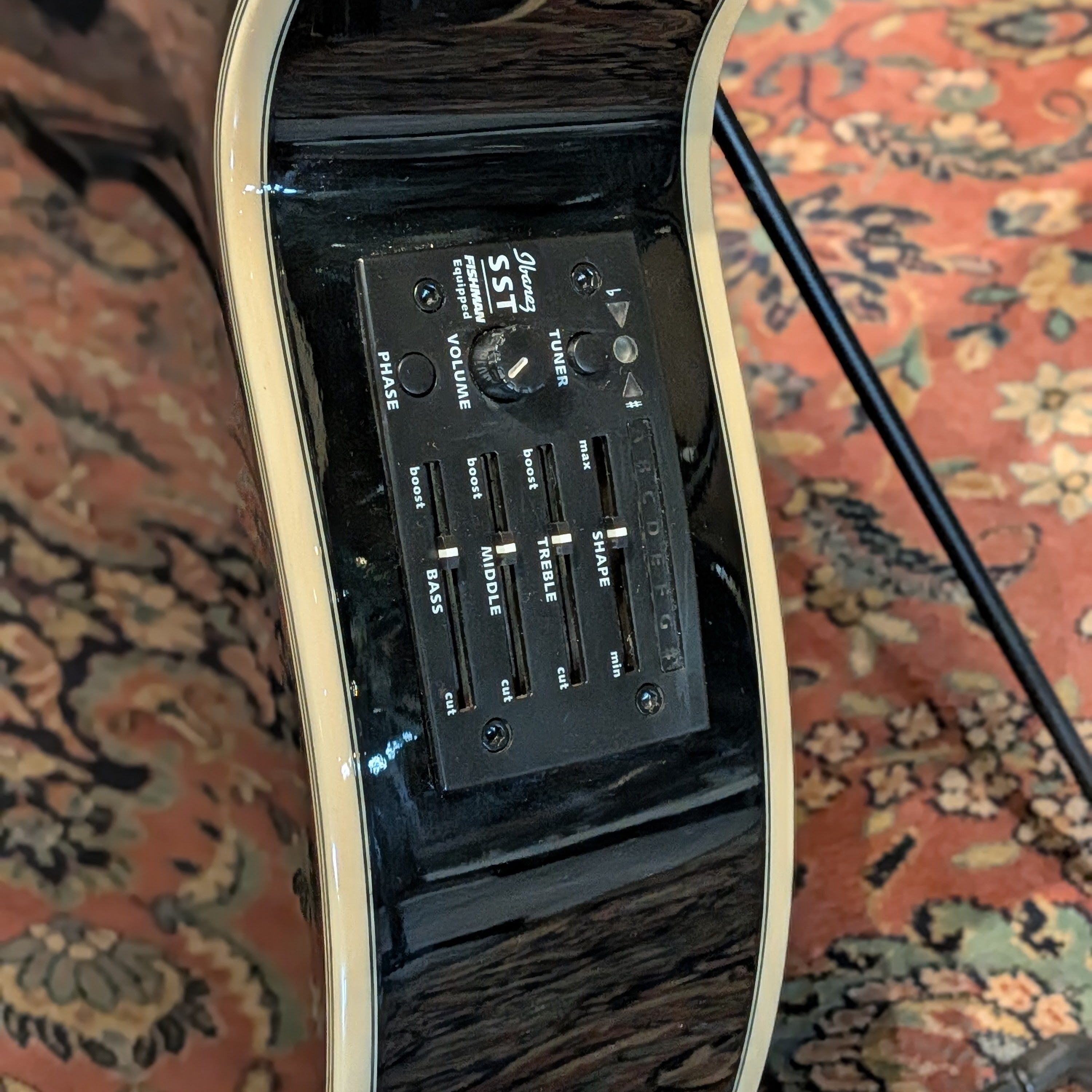 Ibanez AEG10E-BK-27-01 - Black