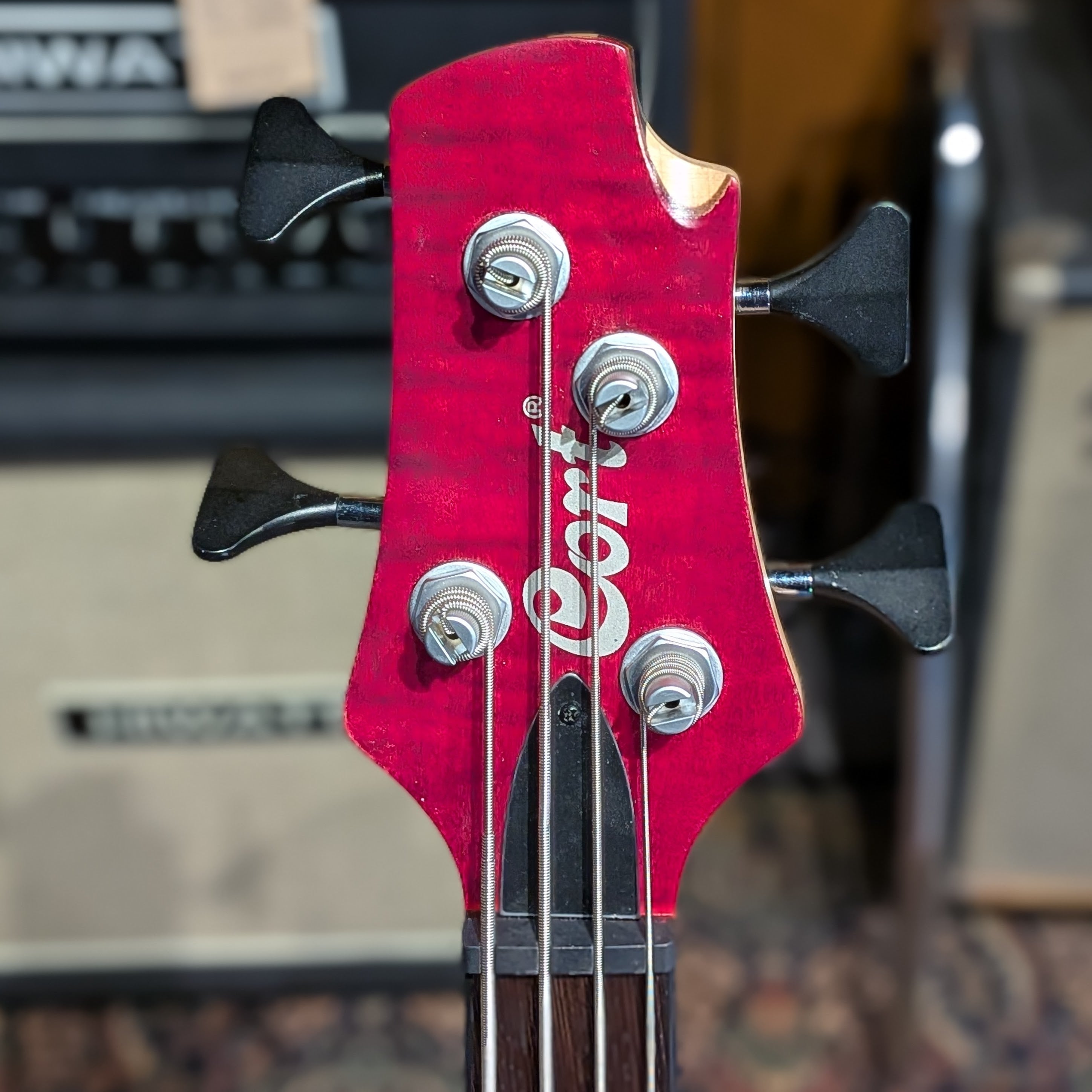Cort A4 Plus FMMH - Black Cherry
