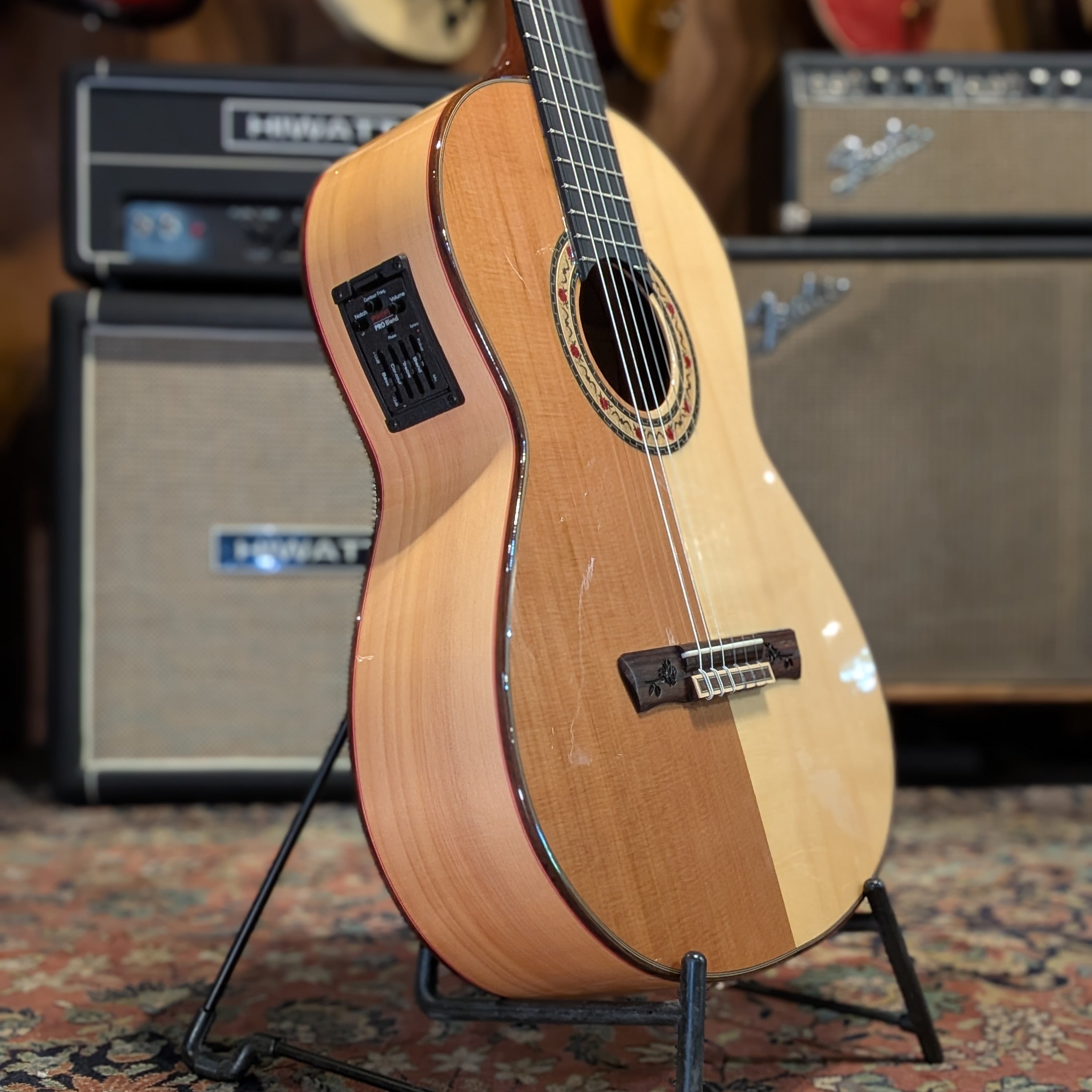 Guitarras Francisco Bros Taranta Especial 2024