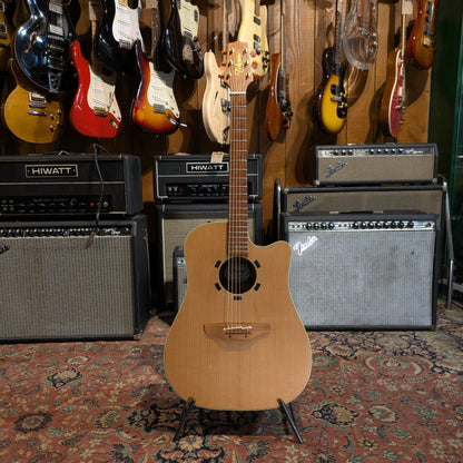 Takamine EN-10C