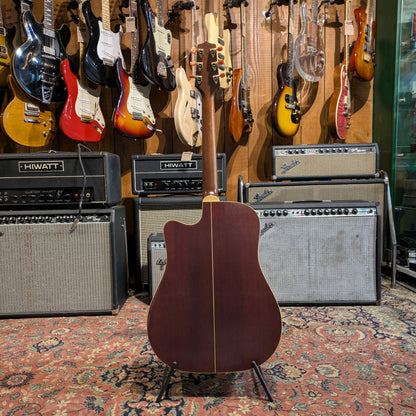 Takamine EN-10C