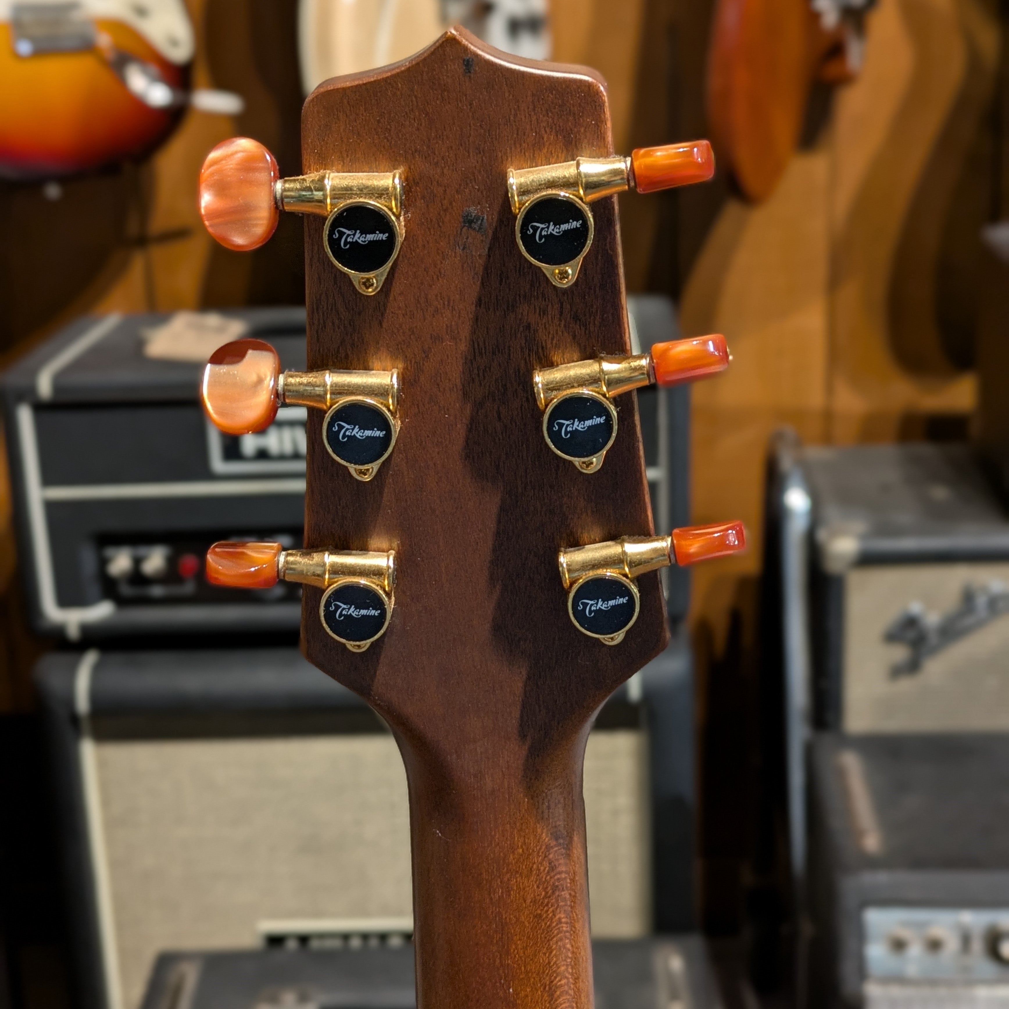Takamine EN-10C
