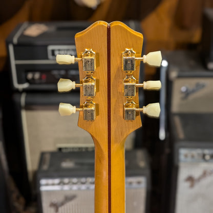 Epiphone inspired by Gibson J-200 2021