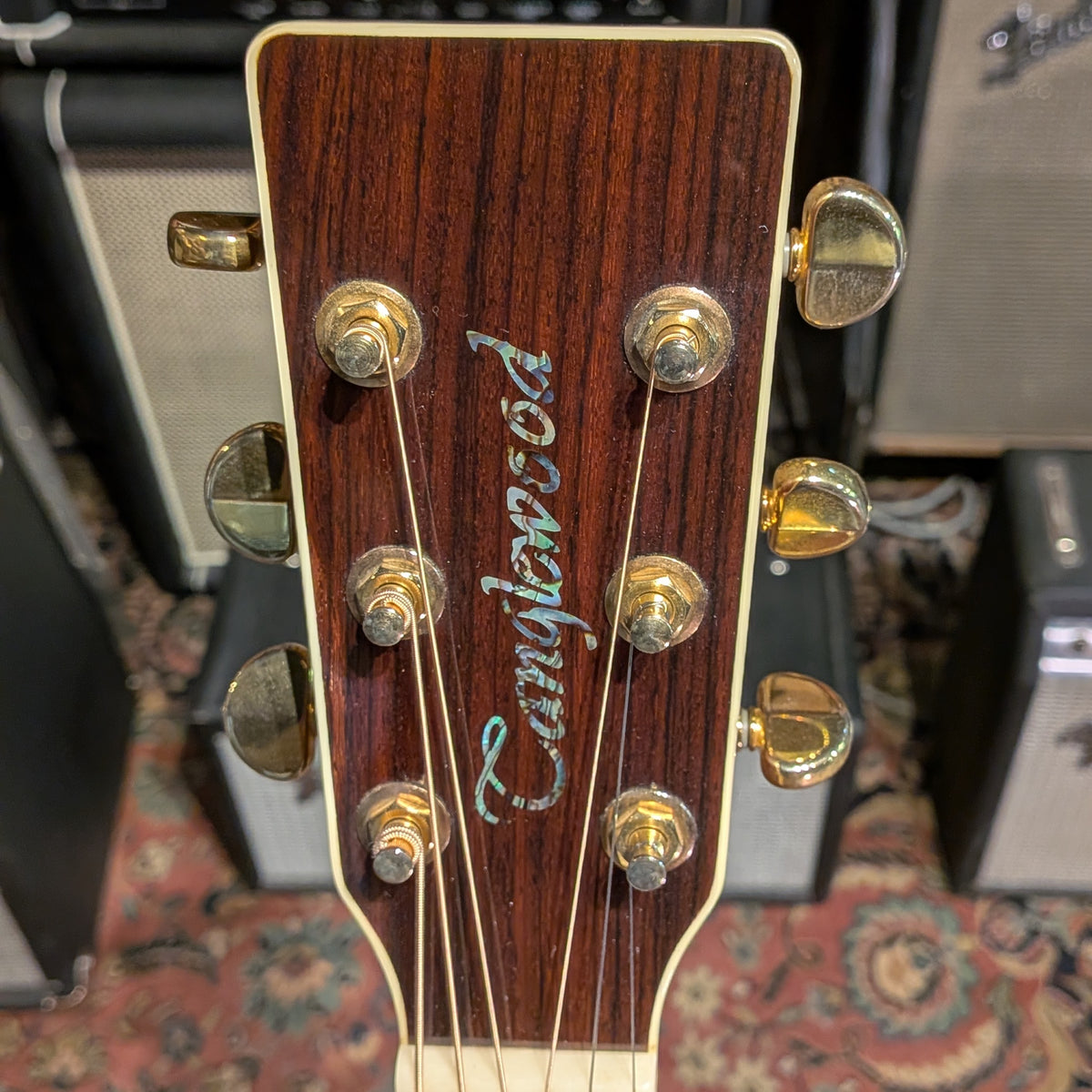 Tanglewood TW1000 - Natural