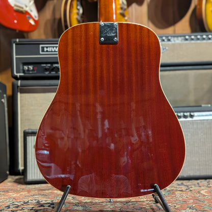 Eko Ranger XII VR - Honey Burst