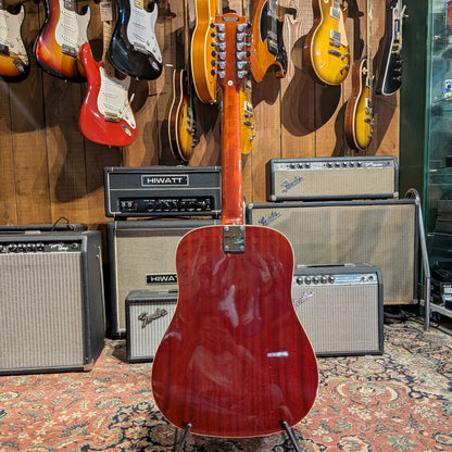 Eko Ranger XII VR - Honey Burst