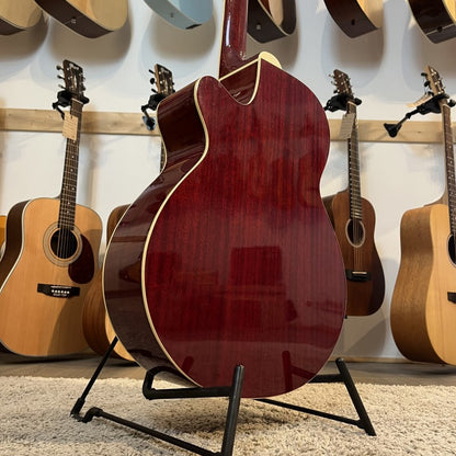 Aria Elecord FET STD-RS