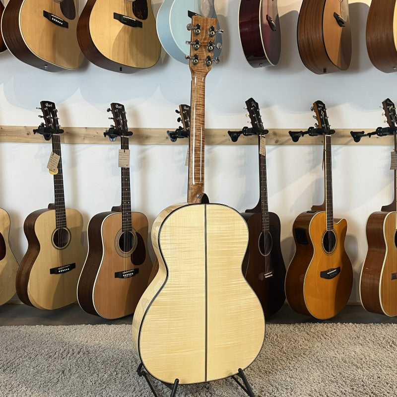 Auden Chester Maple Serie (2020)