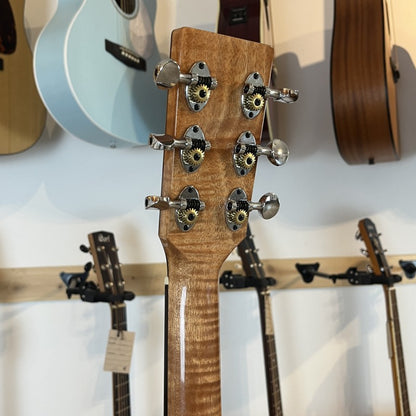 Auden Chester Maple Serie (2020)