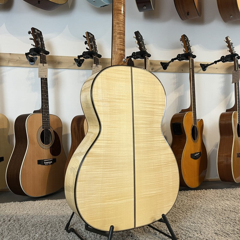 Auden Chester Maple Serie (2020)