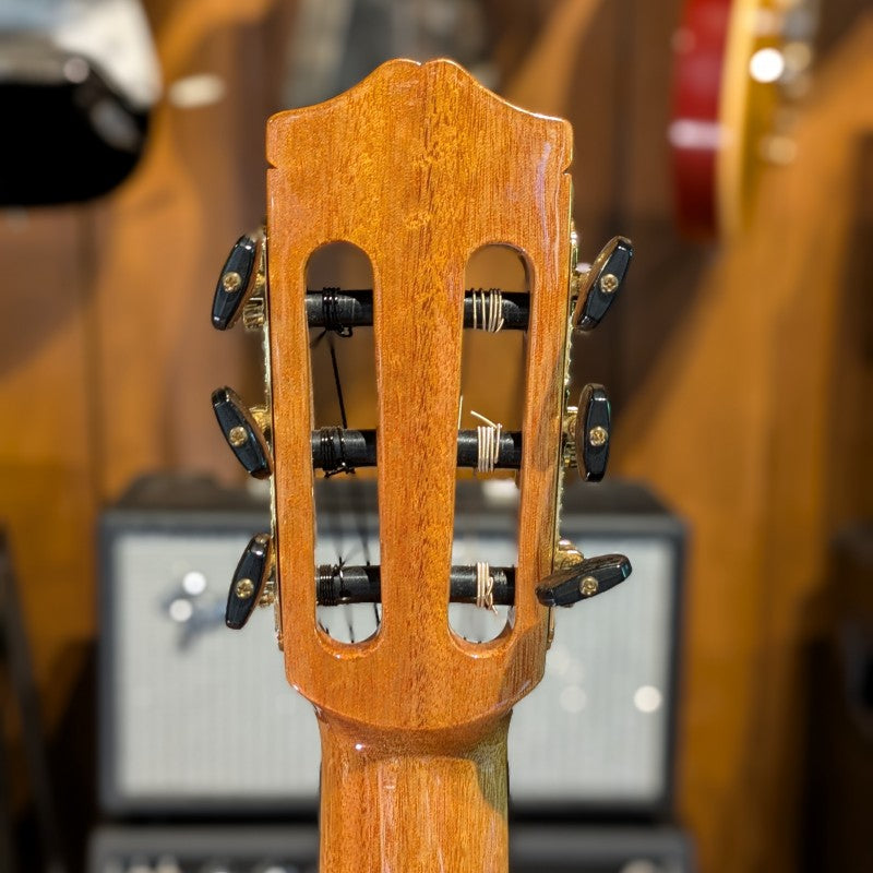 Cordoba Iberia Series GK Studio Negra