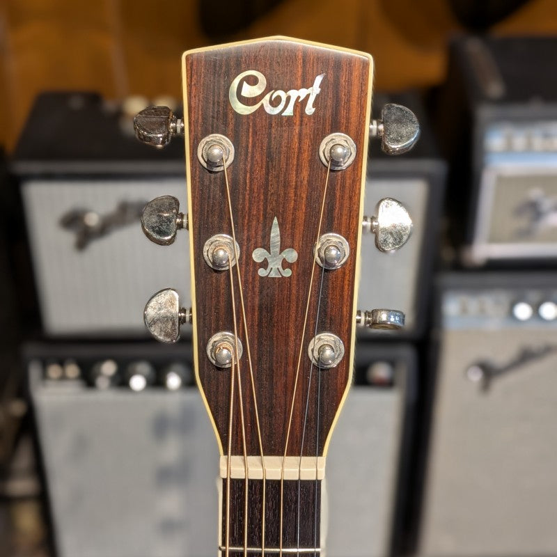 Cort EARTH-200 with Fishman Classic 4 preamp