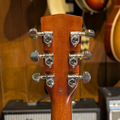 Cort EARTH-200 with Fishman Classic 4 preamp