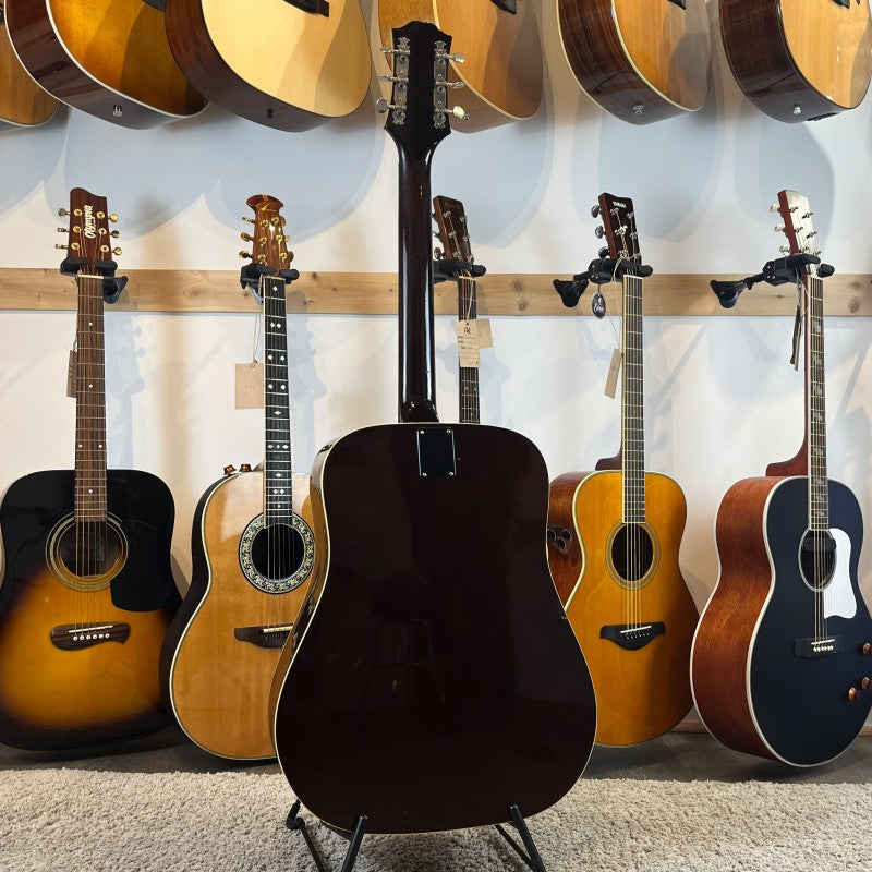 Epiphone ft-145 - 70's Natural