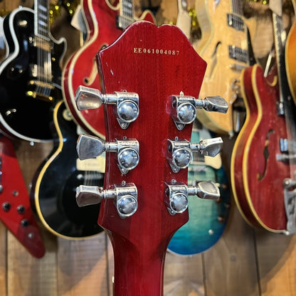 Epiphone The Dot Bigsby - Cherry