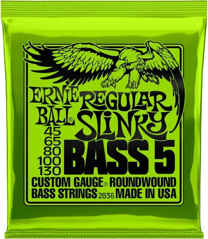 Ernie Ball Bass 5 Cordes Regular Slinky 45/130