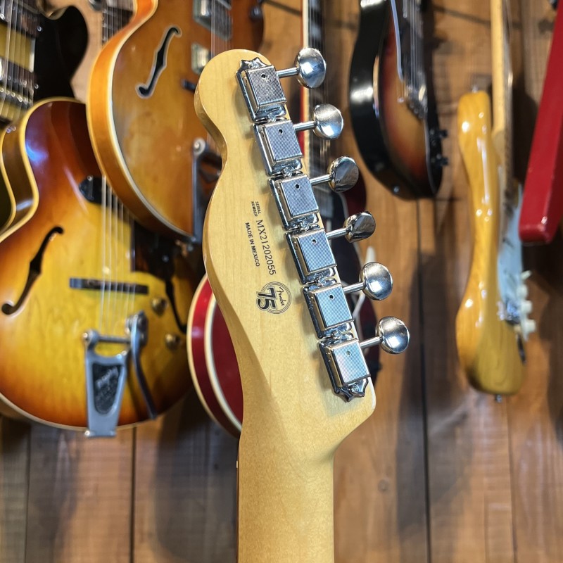 Fender Telecaster 60's Bigsby Vintera (2021) Mexico