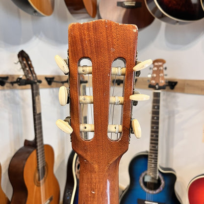 Giannini made in Brazil Classic 80's