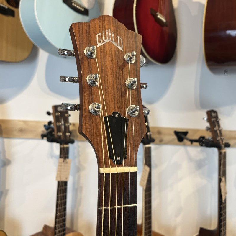 Guild DV-6 (2007) USA