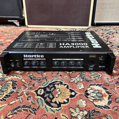 Hartke HA3000