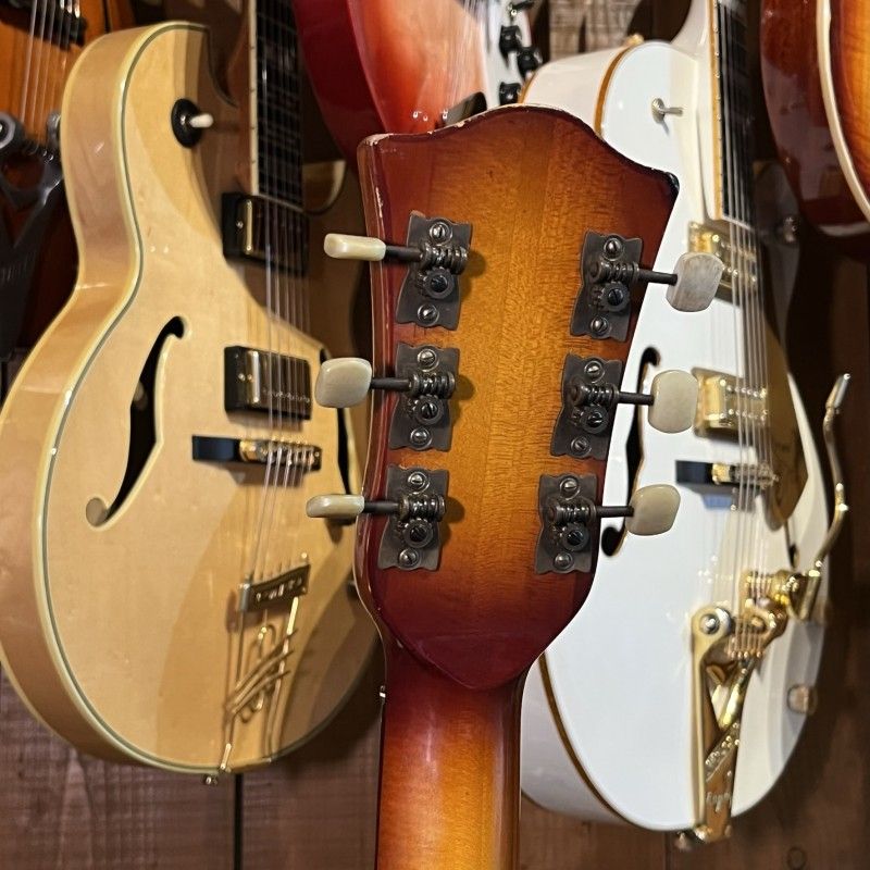 HOFNER SENATOR SE1 5124/05 (1967)