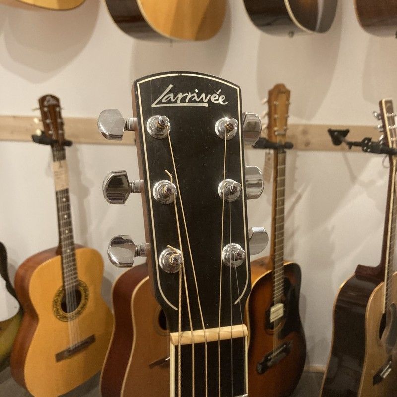 Larrivée LV-09E Rosewood Artist Series USA