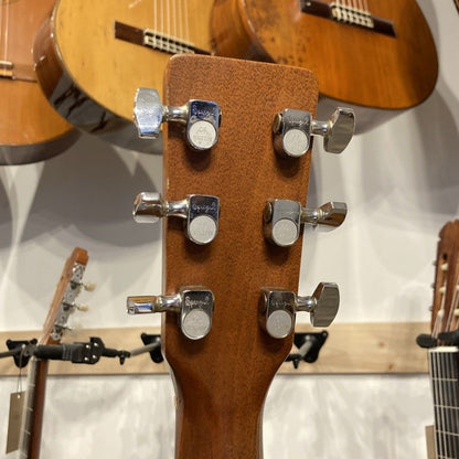 MARTIN D-25K + LR BAGGS PICKUP (1980) USA