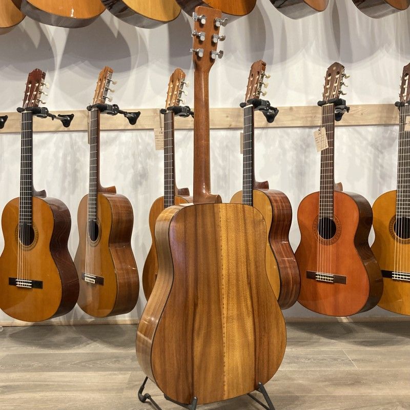 MARTIN D-25K + LR BAGGS PICKUP (1980) USA