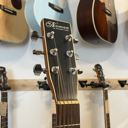 Norman Protege B18 Cedar