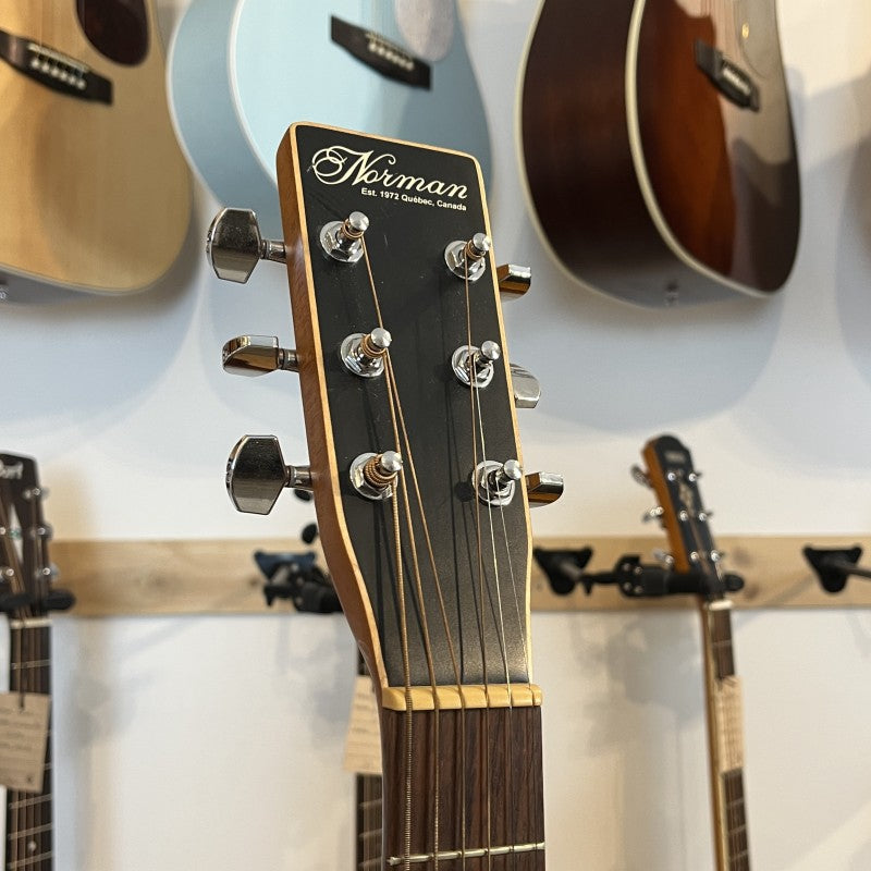 Norman Protege B18 Cedar