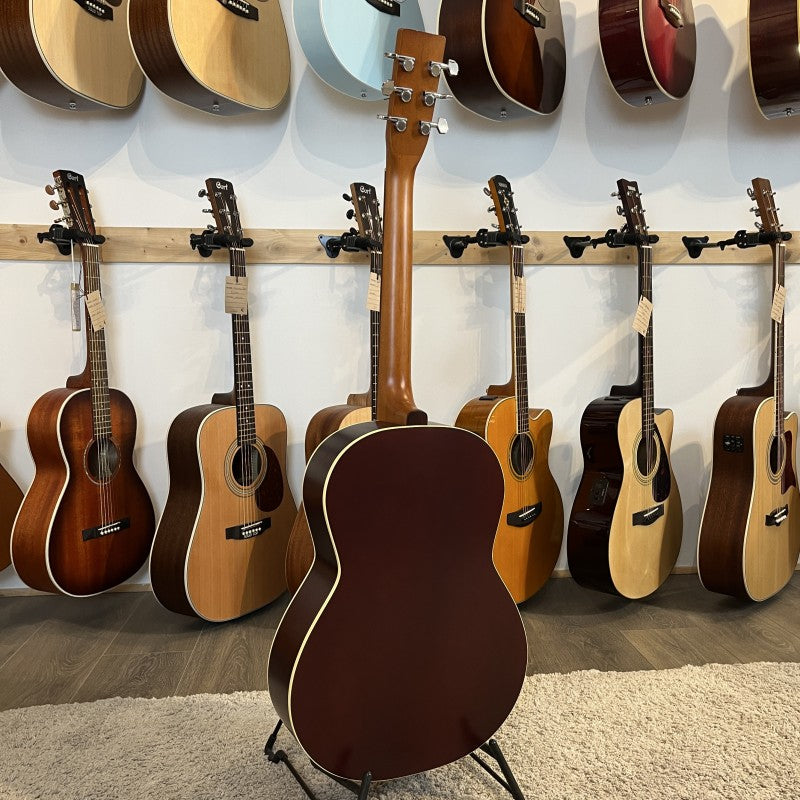 Norman Protege B18 Cedar