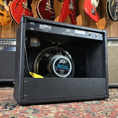 Peavey Express 112S