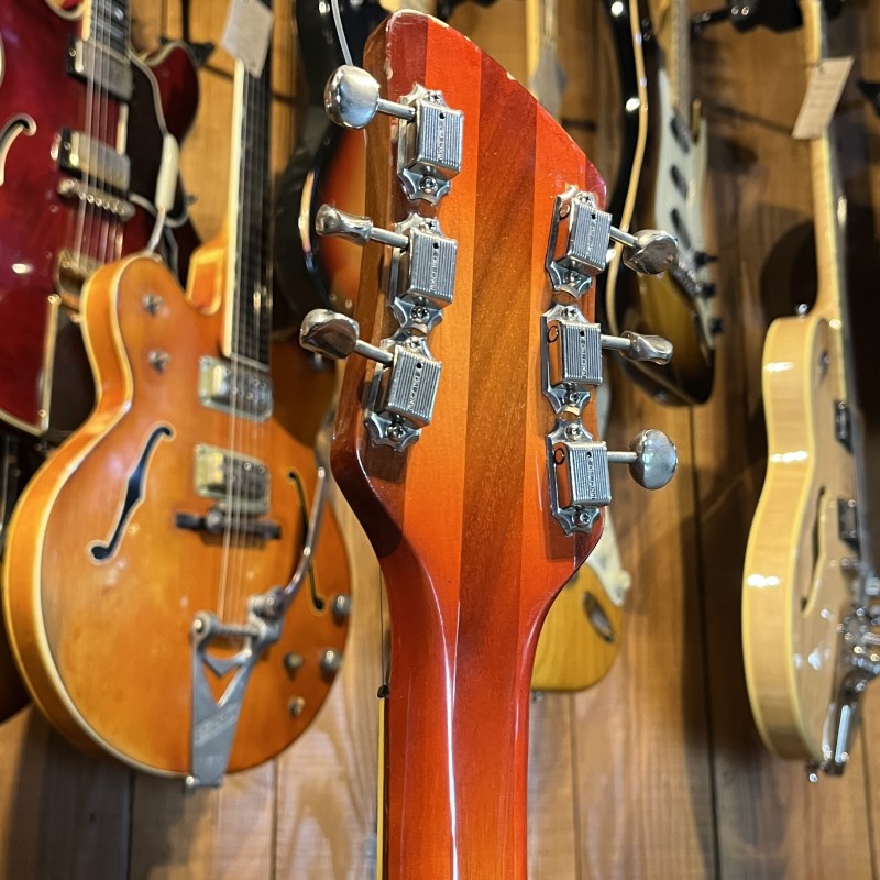 Rickenbacker R365 Capri (1958) USA