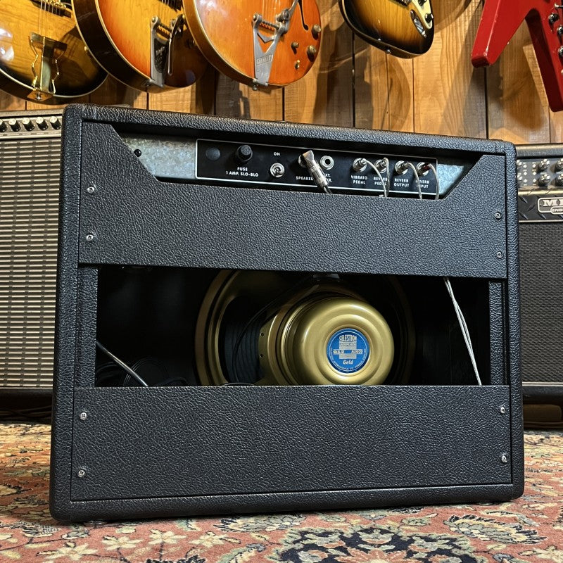 Sagarramp/TAD Princeton '64 Custom