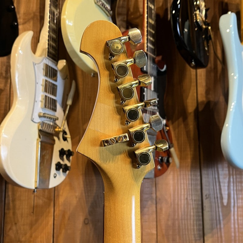 Stanbury Stratocaster Floyd Rose