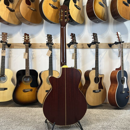 Takamine EN-30C