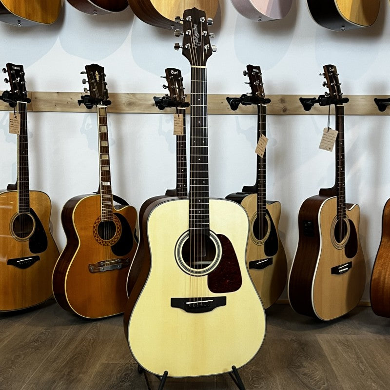Takamine GD10NS
