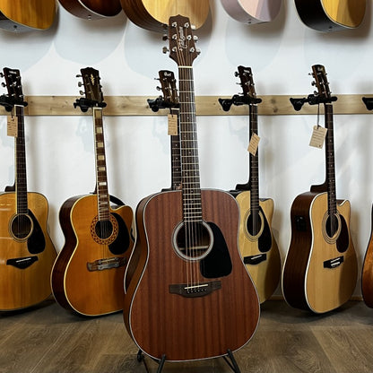 Takamine GD11M-NS