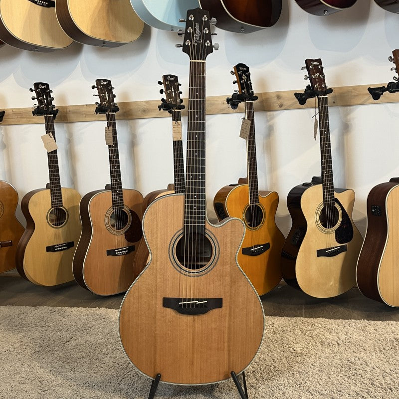 Takamine GN20CE
